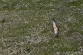 DSC07608
