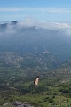 DSC07617_