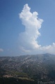 DSC00769
