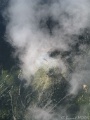 IMG_0824