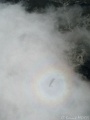 IMG_1533
