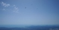 DSC02529