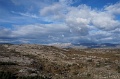 DSC09551