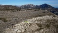 DSC09650