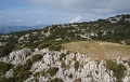 DSC03717