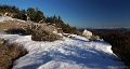 DSC09895