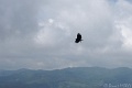 DSC02315