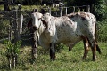 DSC03675