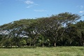 DSC03705