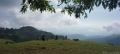 DSC03804