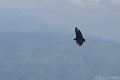 DSC04117_