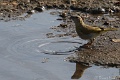 DSC05436