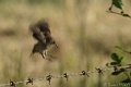 DSC05500