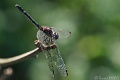 DSC05606