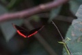 DSC05659