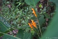 DSC05051