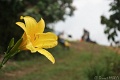 DSC05055