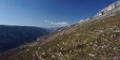 DSC06106