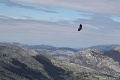 DSC01936