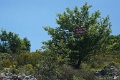DSC03546