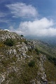 DSC04988