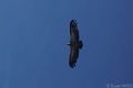 DSC05381_