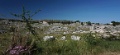 DSC05399