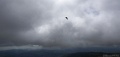 DSC03639