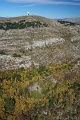 DSC06600