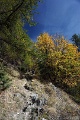 DSC07890