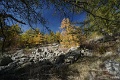 DSC07898
