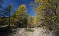 DSC07903