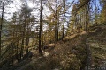 DSC07911