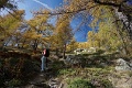 DSC07919