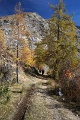 DSC08299