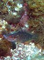 P6030046