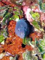 P6050151