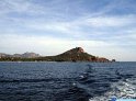 DSC08291