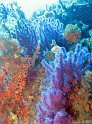 IMG_0678