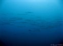 IMG_4883