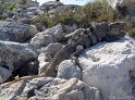 IMG_0046