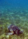 IMG_9656