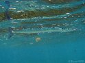 IMG_9707