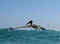 IMG_9817