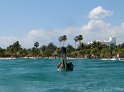 IMG_9844