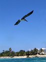 IMG_9846