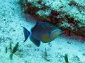 IMG_0208