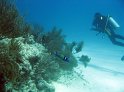 IMG_0562