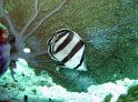 IMG_0636
