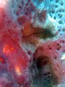 IMG_0688